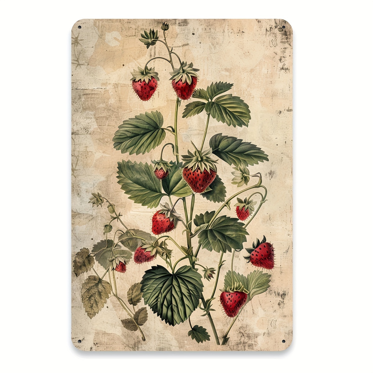 1pc, Vintage Fruit Collection  - Vintage Collectible Tins ulasan dan harga
