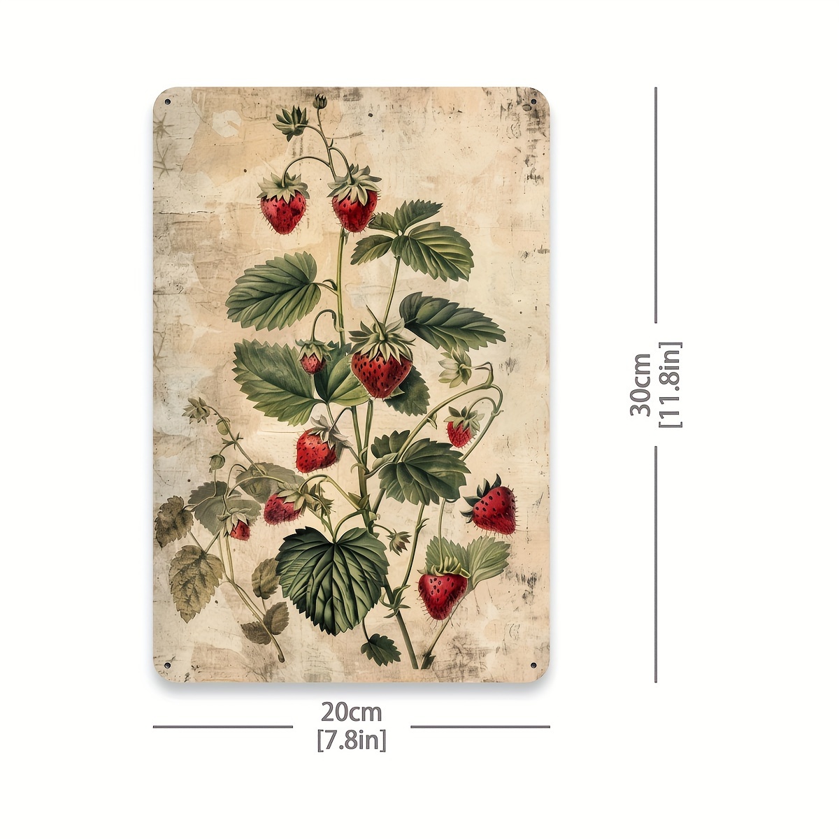1pc, Vintage Fruit Collection  - Vintage Collectible Tins ulasan dan harga